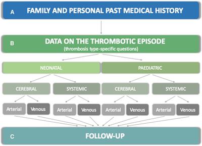 The new Italian registry of infantile thrombosis (RITI): A reflection on its journey, challenges and pitfalls